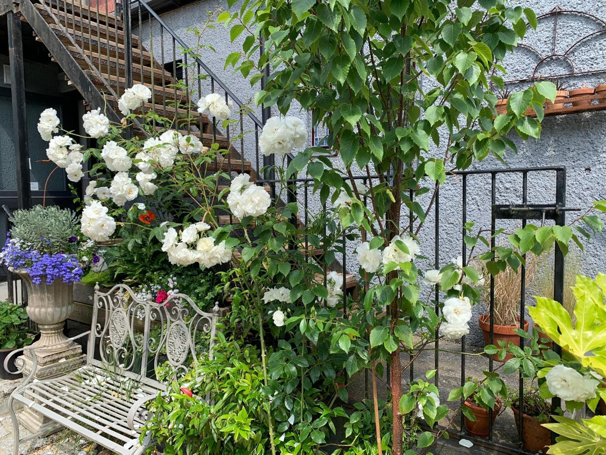 Molesworth Accommodation, Pyworthy, Devon